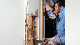 Tips to Avoid Termites